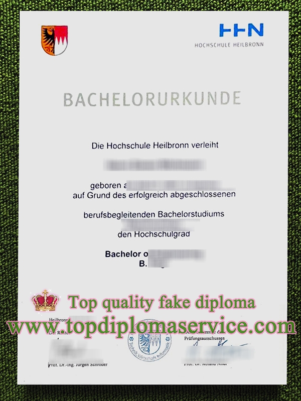 Hochschule Heilbronn urkunde, Hochschule Heilbronn diploma,