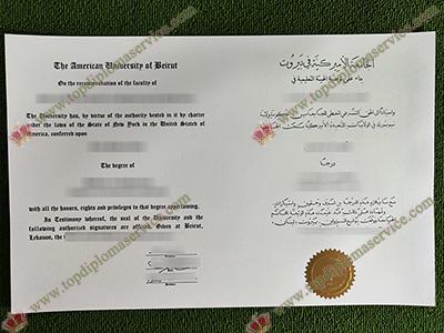 Read more about the article Is it safe to use fake American University of Beirut diploma?