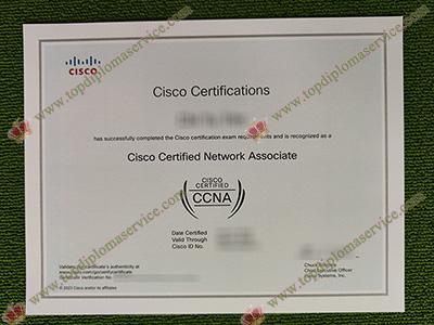 Read more about the article Can I use a fake CCNA certificate for work