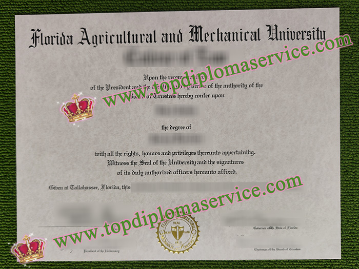 Florida Agricultural and Mechanical University degree, Florida A&M University diploma,