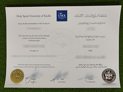 Read more about the article What’s the price to make a fake Holy Spirit University of Kaslik degree?