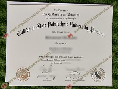 Read more about the article Where to buy Cal State Pomona diploma in 2024