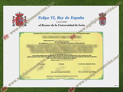 Read more about the article Where can I get a fake University of León degree