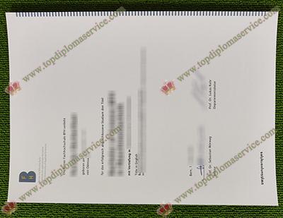 fake Berner Fachhochschule diploma