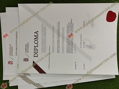 University of Groningen diploma, University of Groningen transcript,