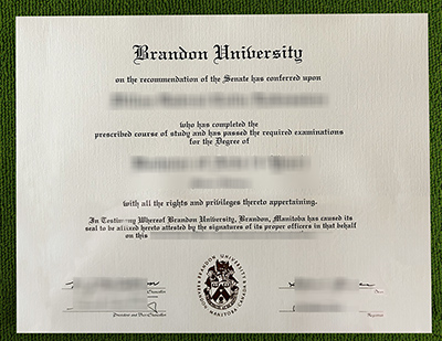Read more about the article 5 Pro Tips To Make A Brandon University Diploma Certificate
