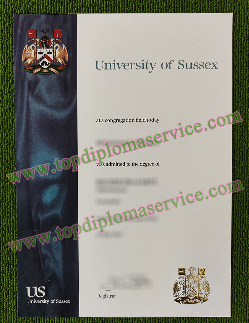 University of Sussex diploma