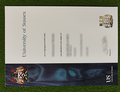 University of Sussex diploma certificate