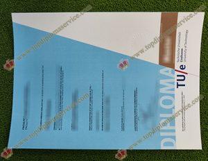 TU Eindhoven diploma