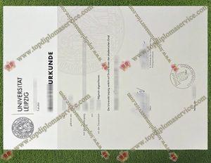 universität leipzig degree