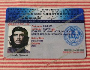 International Driver's license