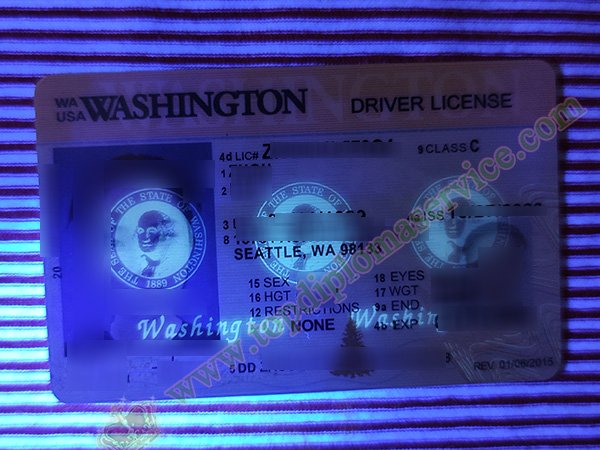 Washington Driver License under fluorescent light
