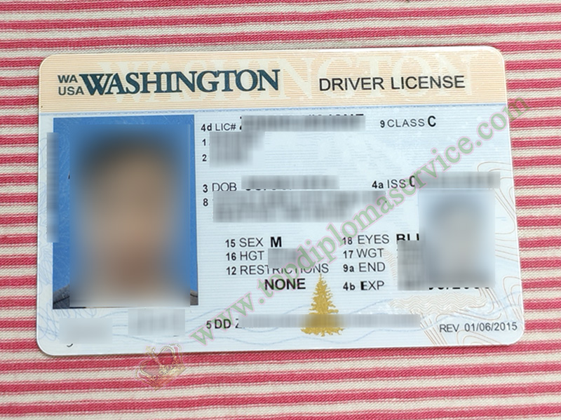 Washington Driving license