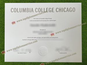 Columbia College Chicago degree